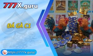 Đá Gà C1