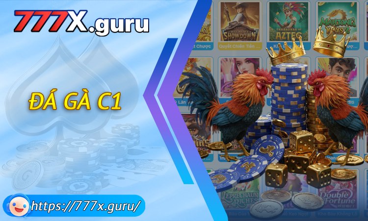 Đá Gà C1